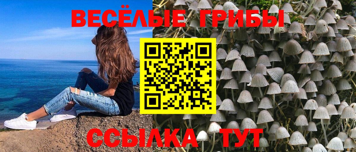 Псилоцибиновые грибы ЛСД  Вход с VPN  Псилоцибиновые грибы прущие грибы  Ликино-Дулёво 